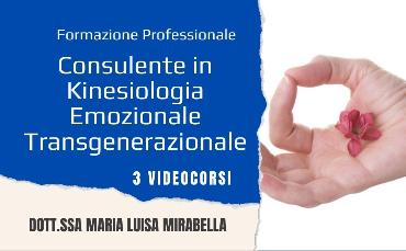 Formazione Professionale: Kinesiologia Emozionale Transgenerazionale (Videocorso)