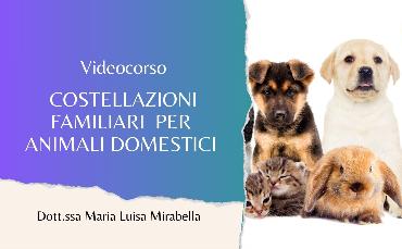 Costellazioni Familiari per animali domestici (Videocorso)